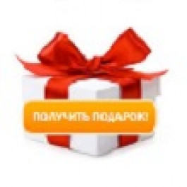 DPBizRef