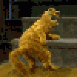 LloydjitTe