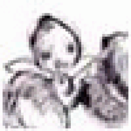 Alonzoallot