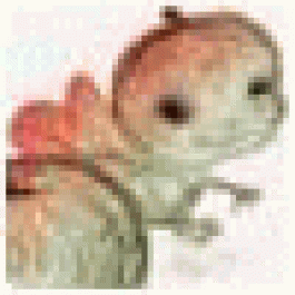 Alonzoallot
