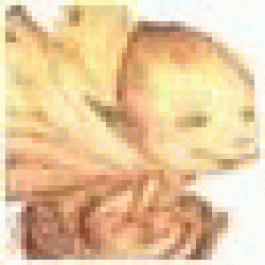 Williamsot