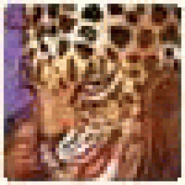 LloydjitTe