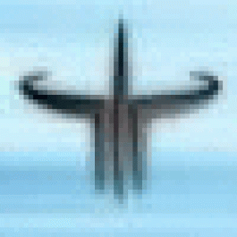 SylvierSmads