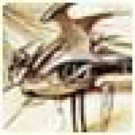 DavidAgome