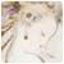 MichaelCrype